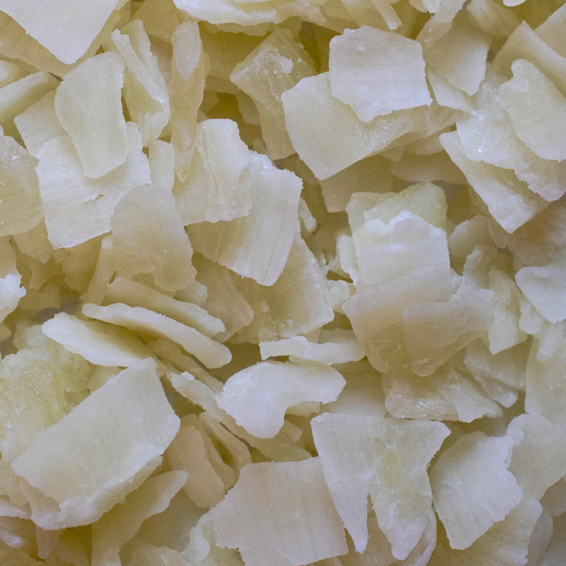 Aloe Vera Disidratata – Faan Fruit