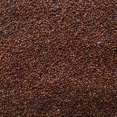 Quinoa Rossa