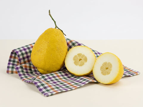 Cedro: proprietà, benefici e valori nutrizionali