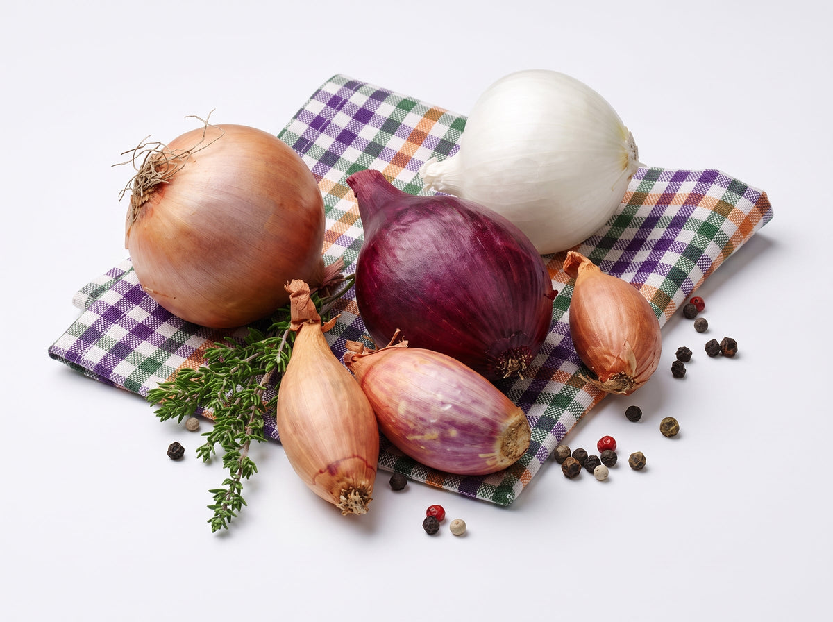 Cipolla: proprietà, benefici e valori nutrizionali
