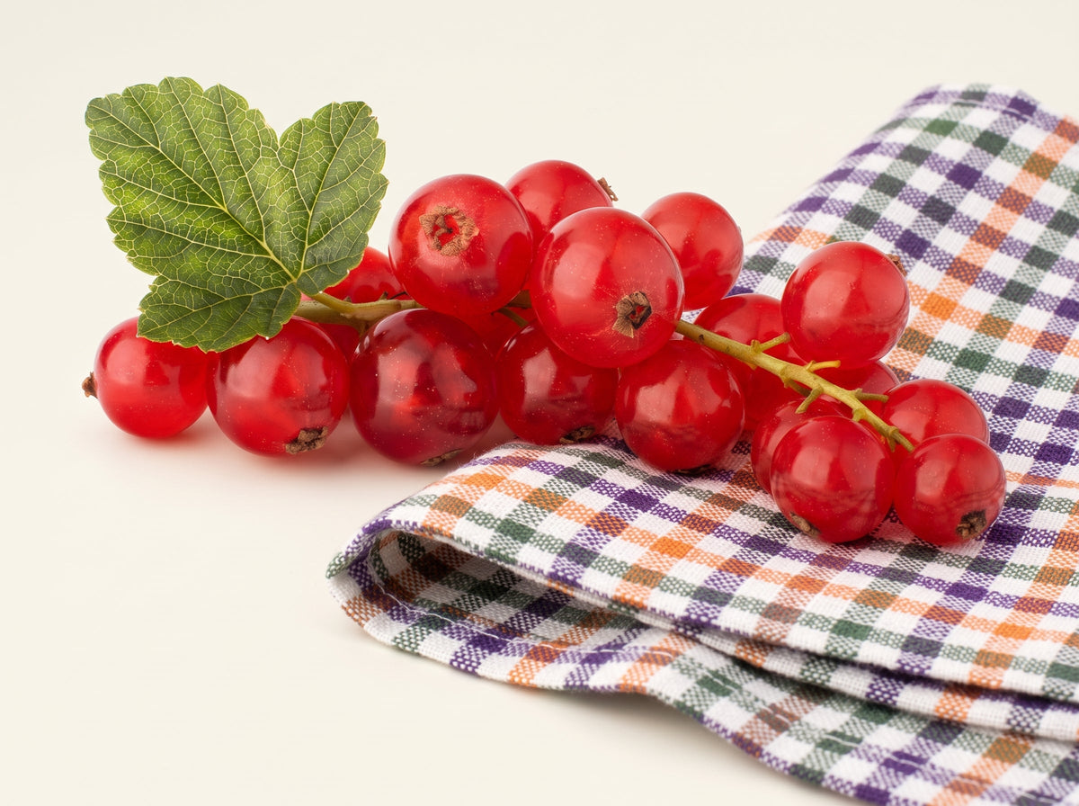 Ribes rosso: proprietà, benefici e valori nutrizionali