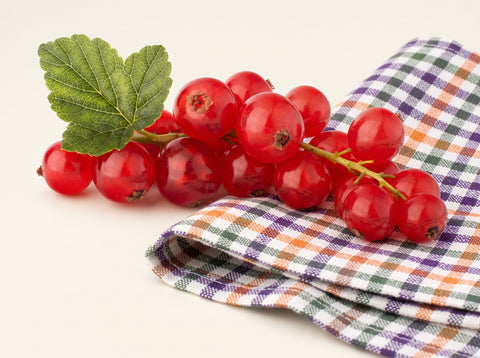 Ribes rosso: proprietà, benefici e valori nutrizionali