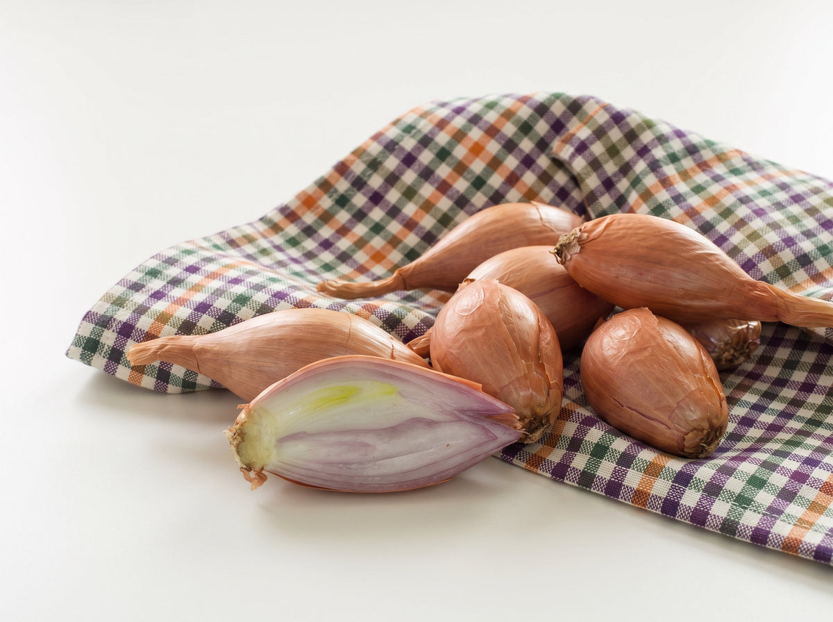 Scalogno: proprietà, benefici e valori nutrizionali
