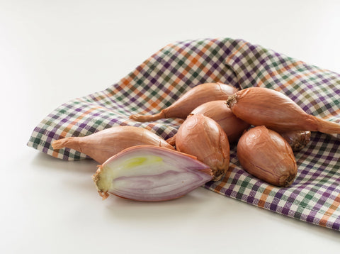 Scalogno: proprietà, benefici e valori nutrizionali