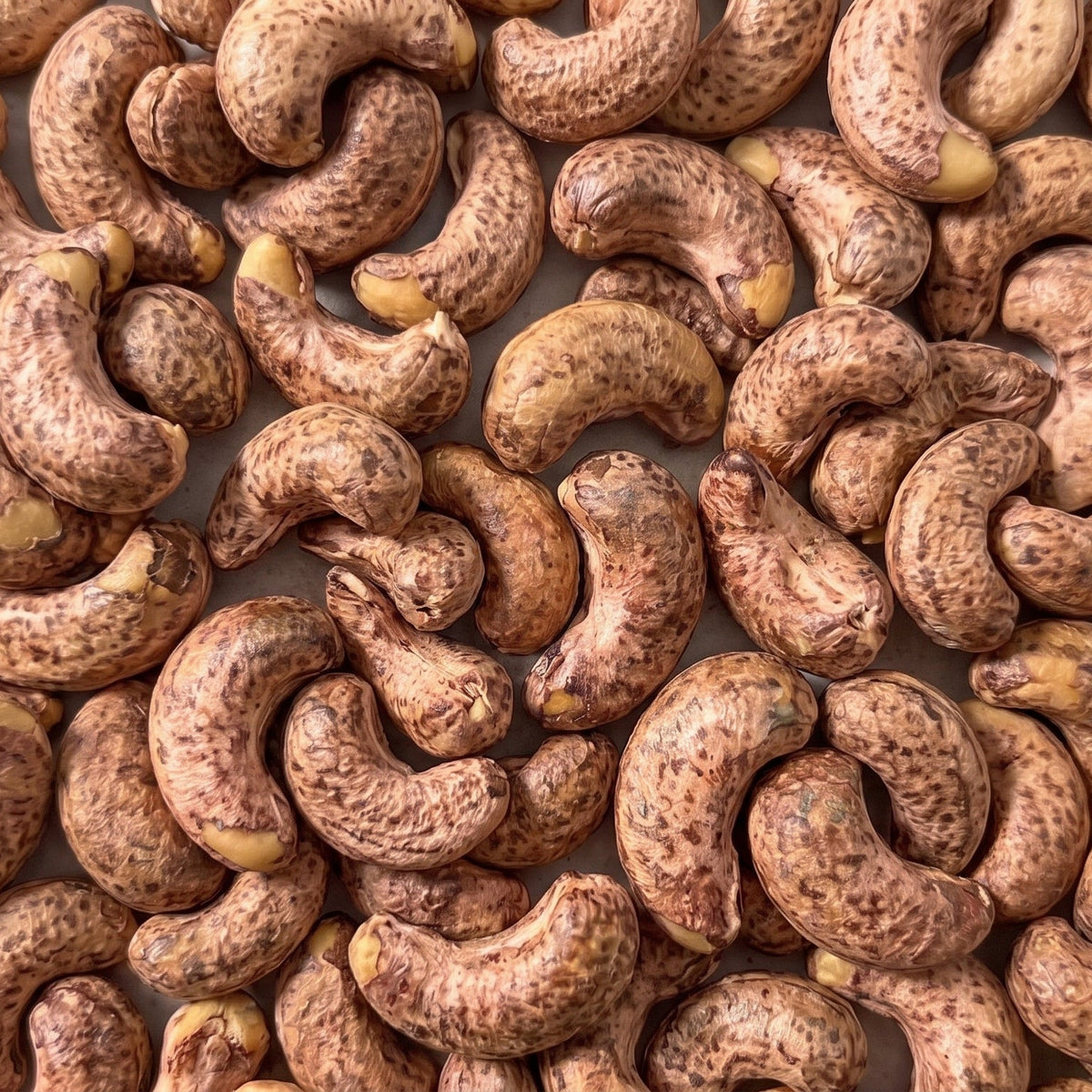 Anacardi con Buccia Tostati e Salati