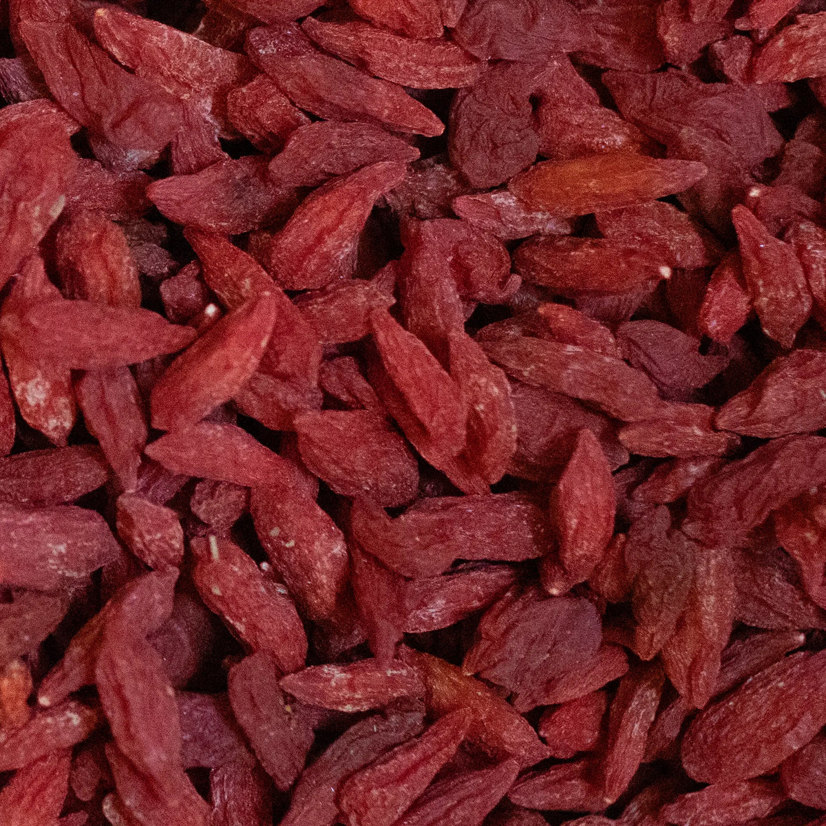 Bacche di Goji