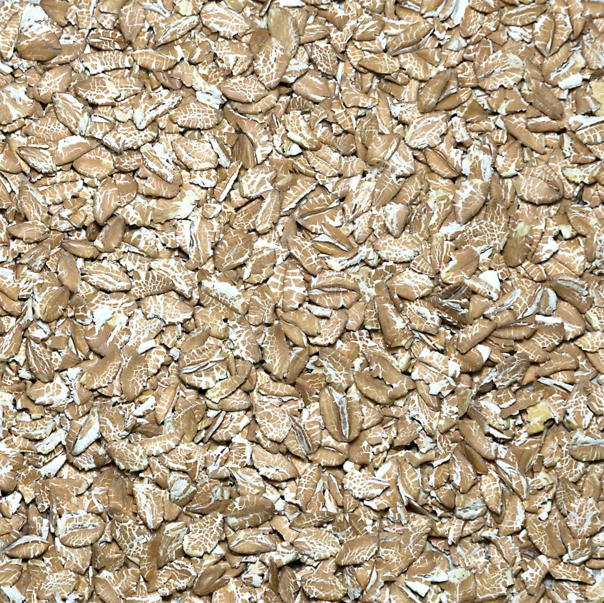 Fiocchi di Farro