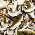 Funghi Porcini Secchi