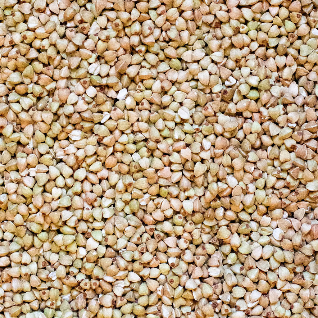 Grano Saraceno