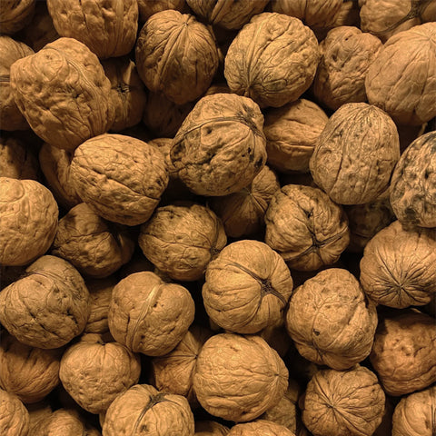 Noci in guscio Lara Italia