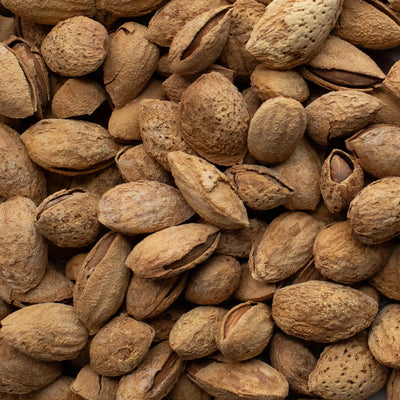 Mandorle in Guscio Tostate Salate