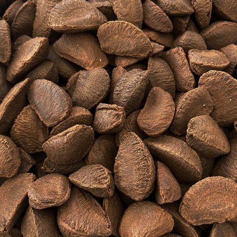 Noci in guscio Amazzonia