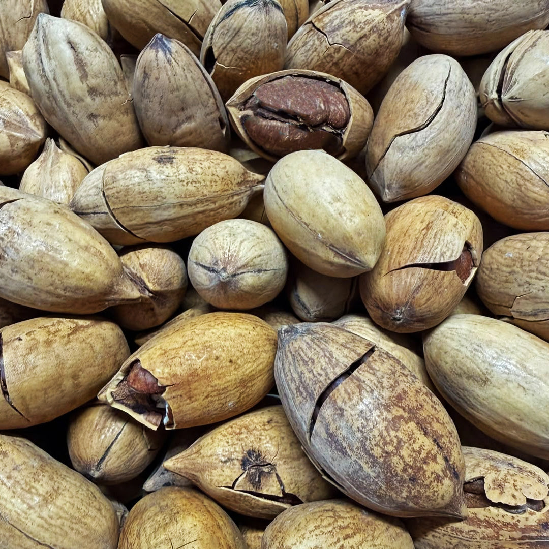 Noci Pecan in Guscio Tostate alla Vaniglia