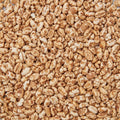 Orzo Soffiato
