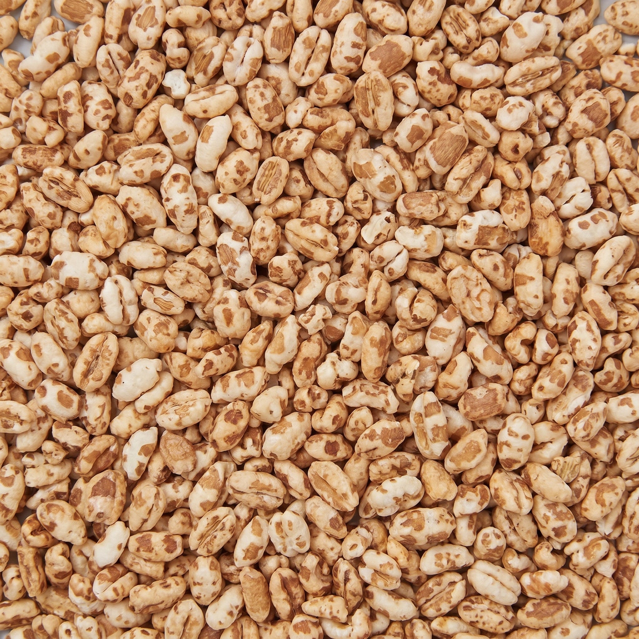 Orzo Soffiato