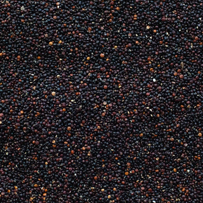 Quinoa Nera