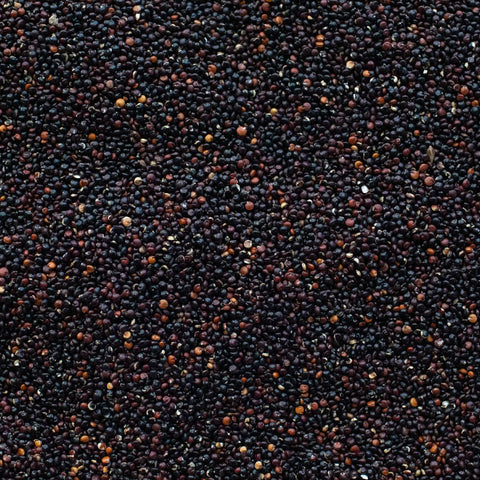 Quinoa nera