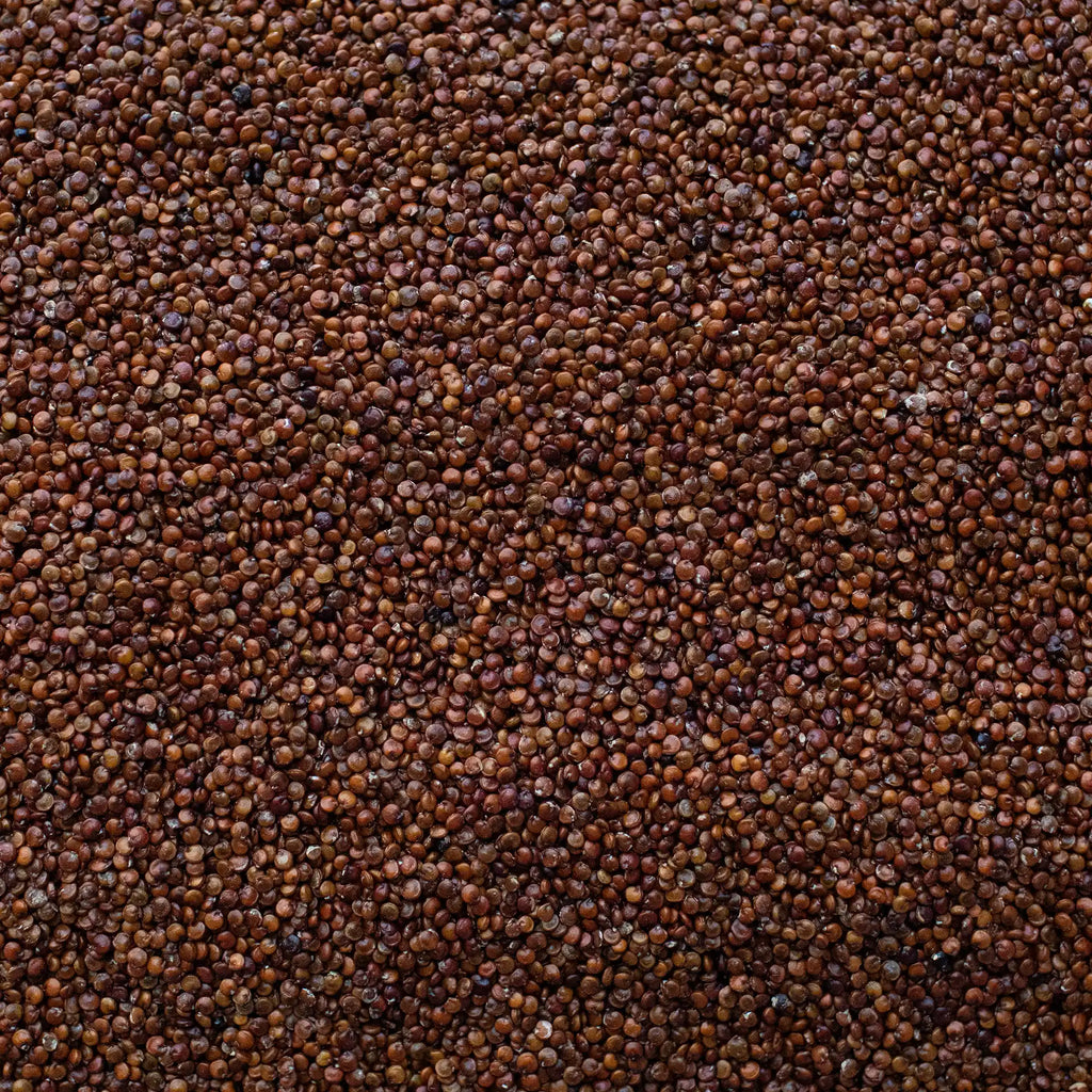 Quinoa Rossa