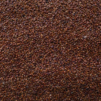 Quinoa Rossa