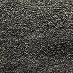 Sesamo Nero