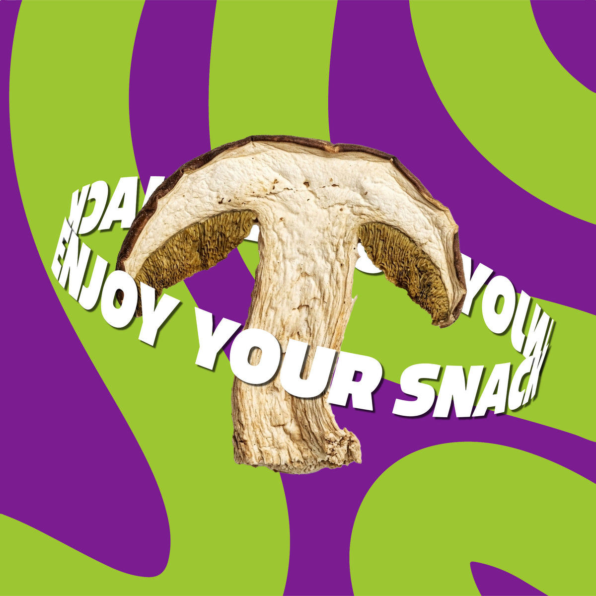 Funghi Porcini Secchi